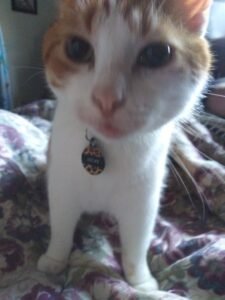 0 G[12.4] N[4] od[3][2][0][1] e_f_d_p[85] a_e_f[0] c_p_n[20] FM0 CR0 Prmid2 mxDrkA0.03 mxBrtA0.40 mxPkNSat2.63 dr19.95 br5.99 wdr4.46 wbr2.50 sbr0.31 ldr24.99 lp10.0 [f0] 000000000bfalic 00000