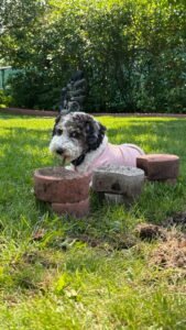 8584136576392428684[1]