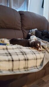 IMG_20251224_144158 (1)