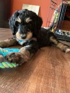 IMG_20251224_144301 (10)