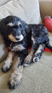 IMG_20251224_144301 (11)