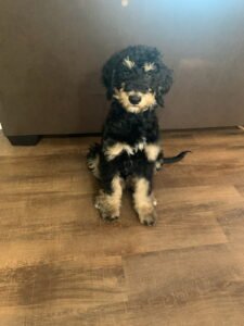 IMG_20251224_144301 (12)