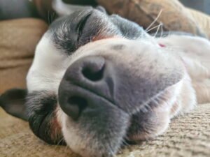 IMG_20251224_144301 (7)