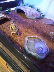 IMG_20251224_144301 (9)