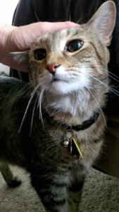 IMG_20251224_144302 (10)