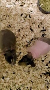 IMG_20251224_144302 (11)