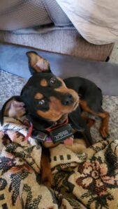 IMG_20251224_144302 (13)