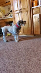 IMG_20251224_144302 (15)