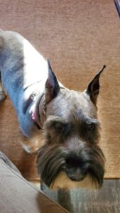 IMG_20251224_144302 (16)