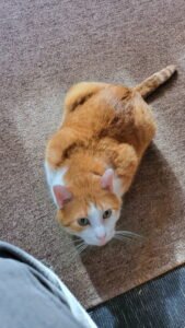 IMG_20251224_144302 (17)