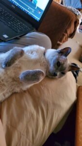 IMG_20251224_144302 (18)