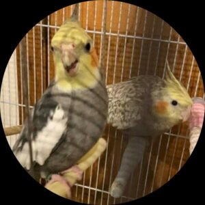 IMG_20251224_144302 (20)