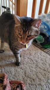 IMG_20251224_144302 (21)