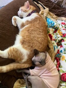 IMG_20251224_144302 (23)