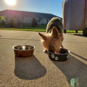 IMG_20251224_144302 (24)