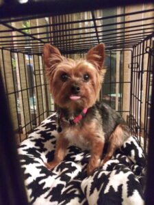 IMG_20251224_144302 (25)