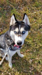 IMG_20251224_144302 (3)