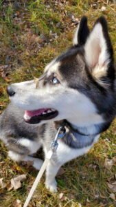 IMG_20251224_144302 (4)