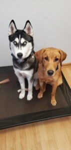 IMG_20251224_144302 (5)