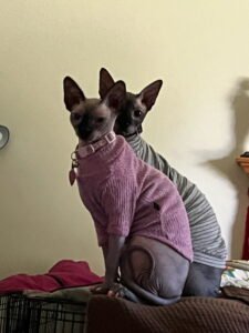 IMG_20251224_144302 (6)