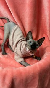 IMG_20251224_144302 (7)