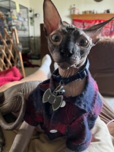 IMG_20251224_144302 (8)