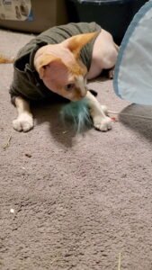 IMG_20251224_144302 (9)