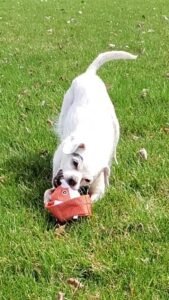 VideoCapture_20240422-104500