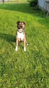 VideoCapture_20250610-073954